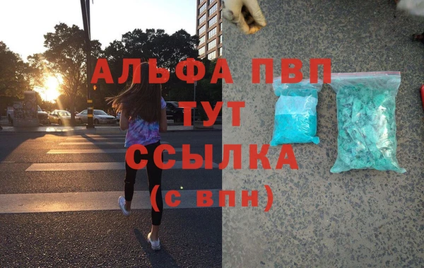 индика Новодвинск