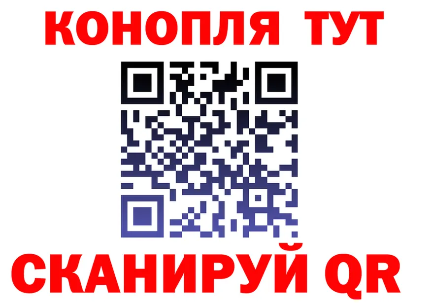 APVP СК зеркало площадка KRAKEN Заринск