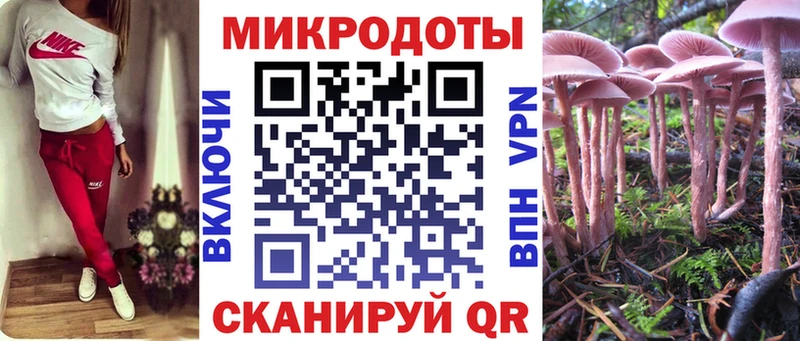 Галлюциногенные грибы MAGIC MUSHROOMS  ОМГ ОМГ онион  Заринск 